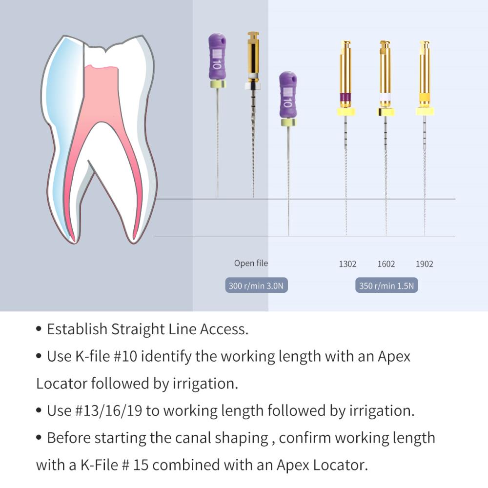 135℃ Autoclavable Dental Endo File Root Canal Instrument 25mm Dentistry Rotary Endodontic