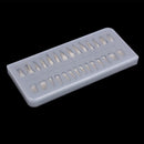 28PCS 1: 1 Dental Implant Teeth Demonstration Teach Study Model